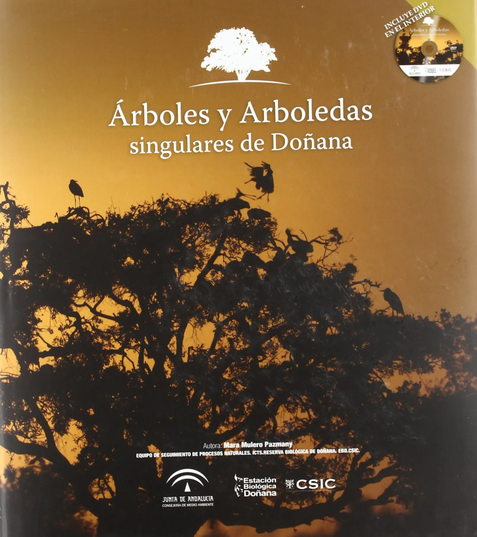 Árboles y arboledas singulares de Doñana