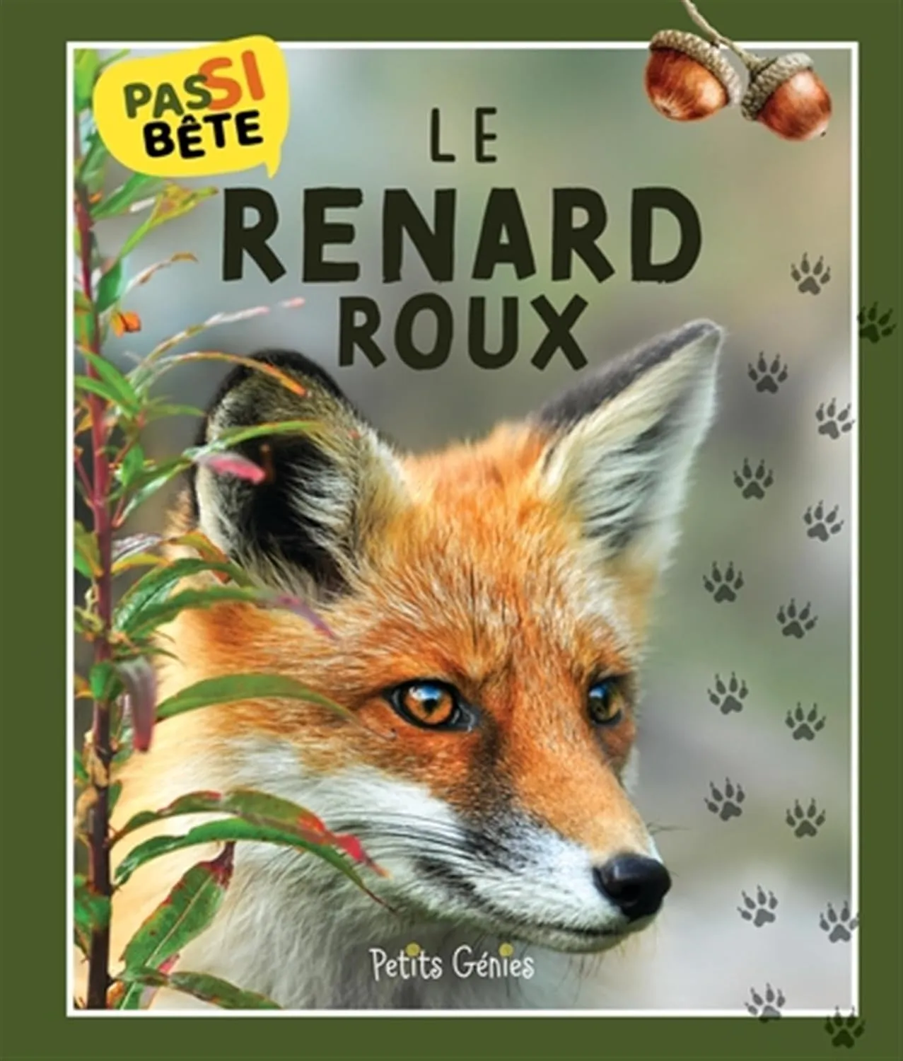 Pas si bête Le Renard Roux